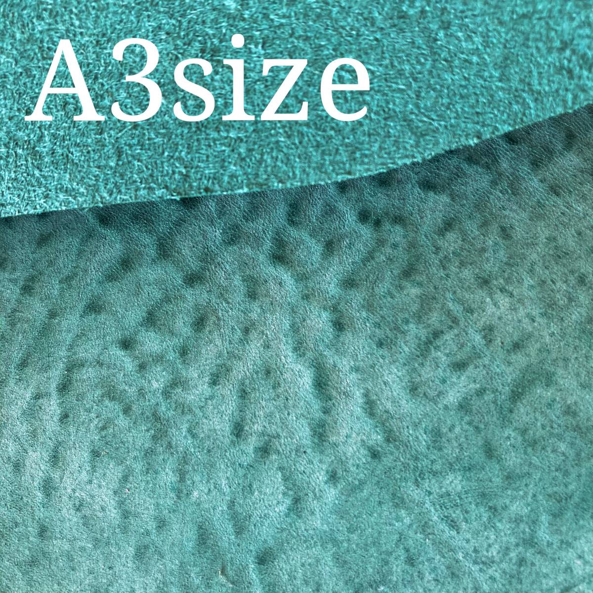 c1029965961.1
