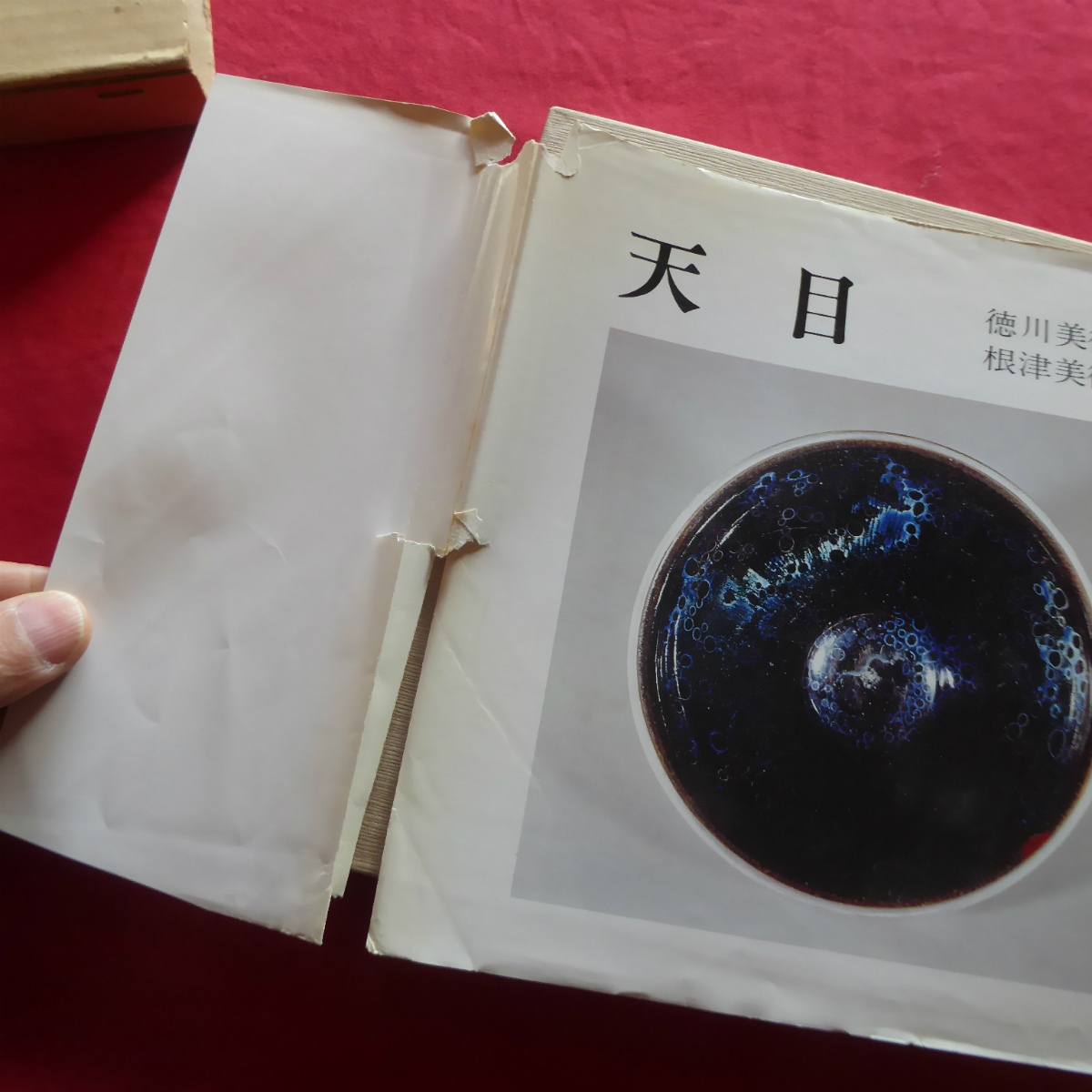 図録「美濃に咲いた麗しき華 志野 岐阜県陶磁資料館図録 志野」（2011