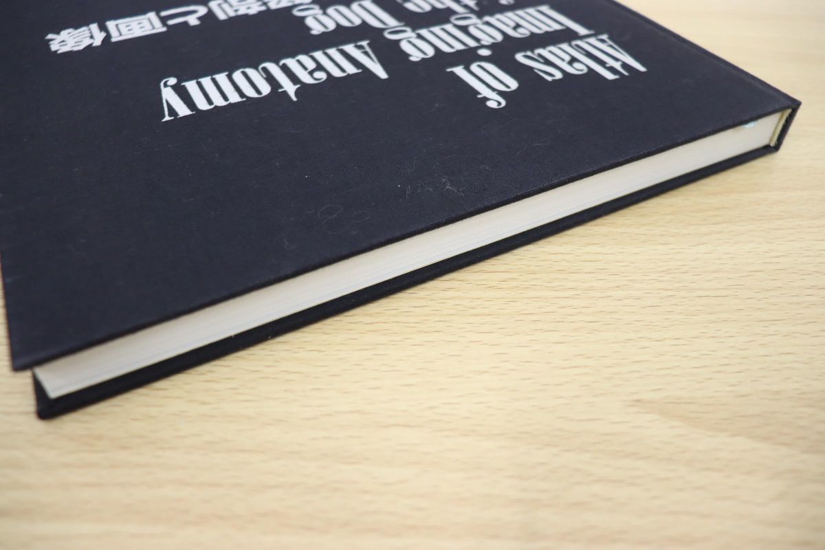 △01)【希少本】犬の断層解剖と画像/月瀬東/チクサン出版社/