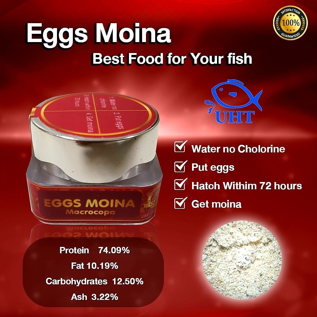 タマミジンコ 乾燥卵 0000個相当 ミジンコ 微生物 甲殻類 その他 売買されたオークション情報 Yahooの商品情報をアーカイブ公開 オークファン Aucfan Com