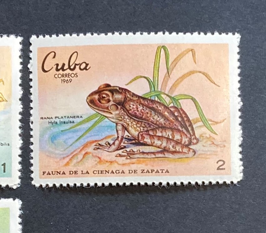 キューバ 1969年発行 ヘビ カエル 魚 動物 トリ 切手 Nh 南アメリカ 売買されたオークション情報 Yahooの商品情報をアーカイブ公開 オークファン Aucfan Com