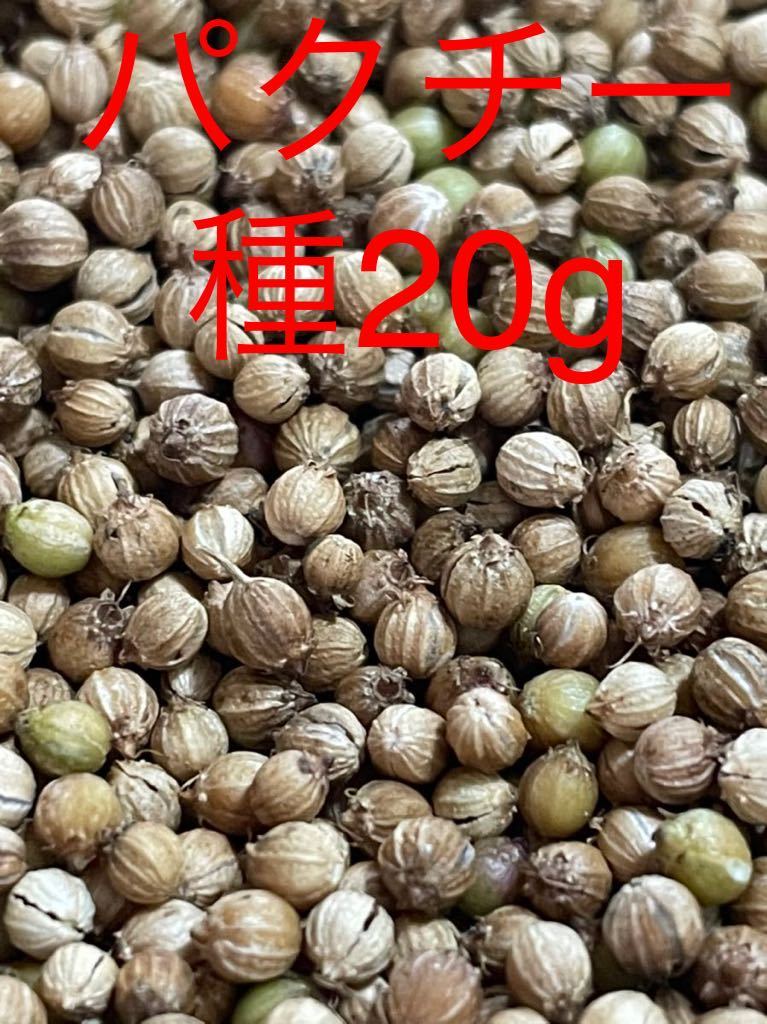 沖縄産無農薬栽培 パクチーの種 コリアンダー g 種 売買されたオークション情報 Yahooの商品情報をアーカイブ公開 オークファン Aucfan Com