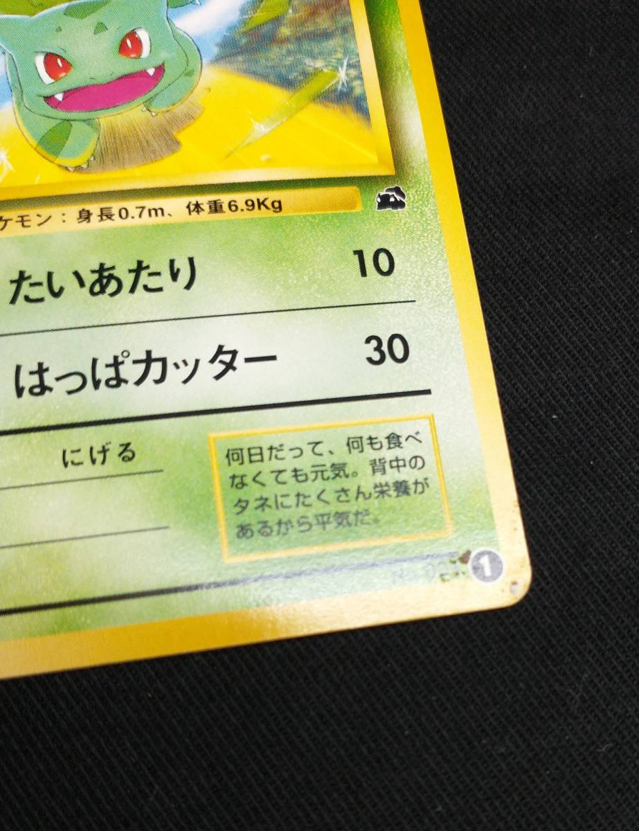 フシギバナ(フシギダネマーク)&カメックス(ゼニガメマーク)/イントロ