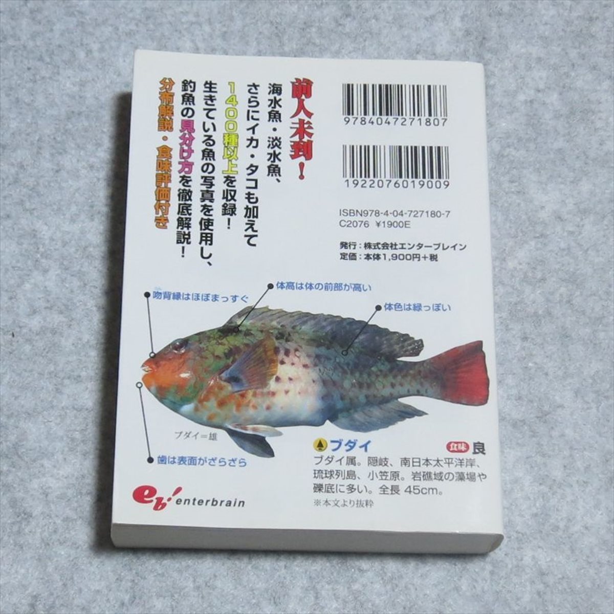 釣魚1400種図鑑 海水魚 淡水魚完全見分けガイド クリポ発送 書込み端折れ無 エンターブレイン 小西英人 趣味 釣り フィッシング G0130 一般 売買されたオークション情報 Yahooの商品情報をアーカイブ公開 オークファン Aucfan Com