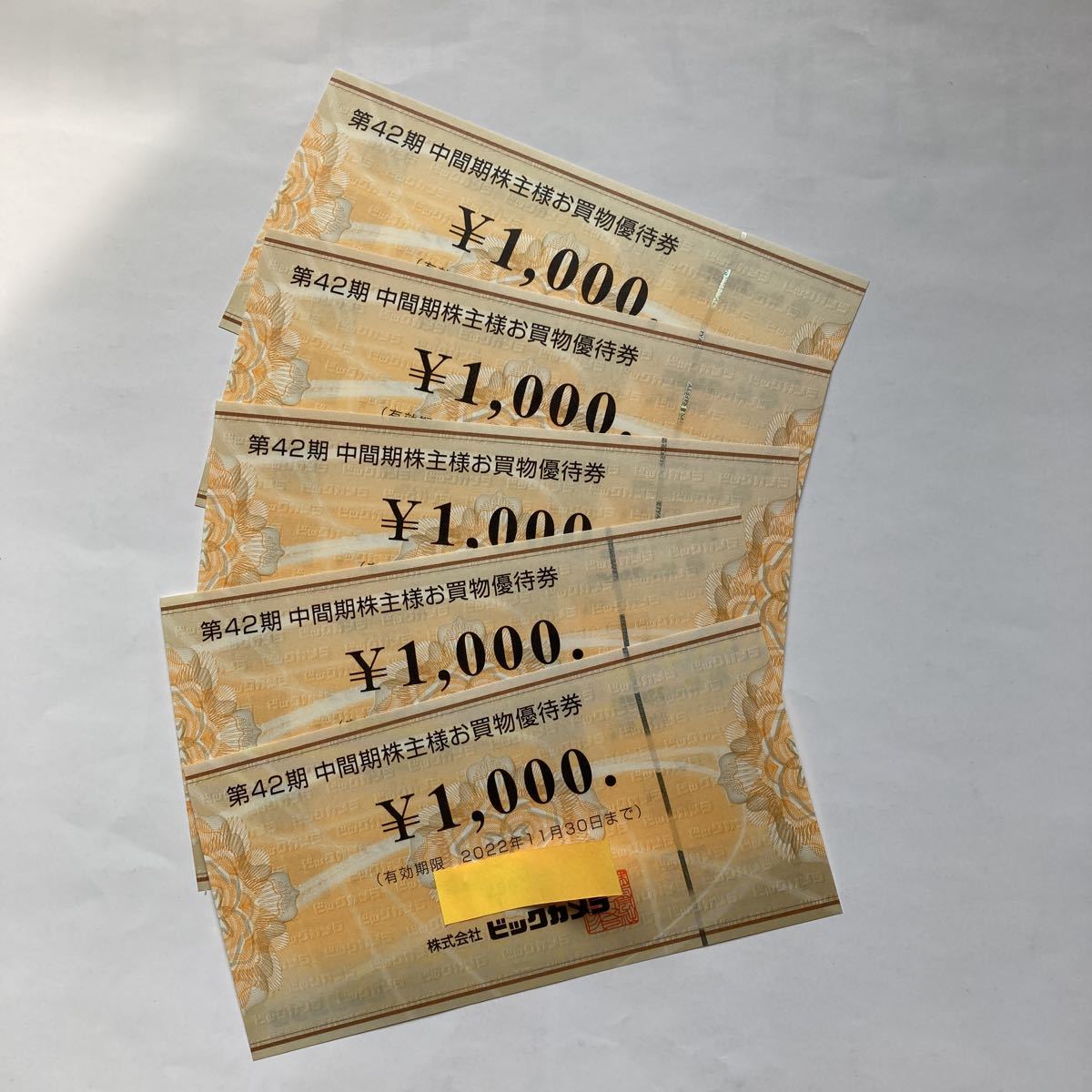 ビックカメラ 株主優待券 20000円分(1000円×20枚) 公式ECサイト