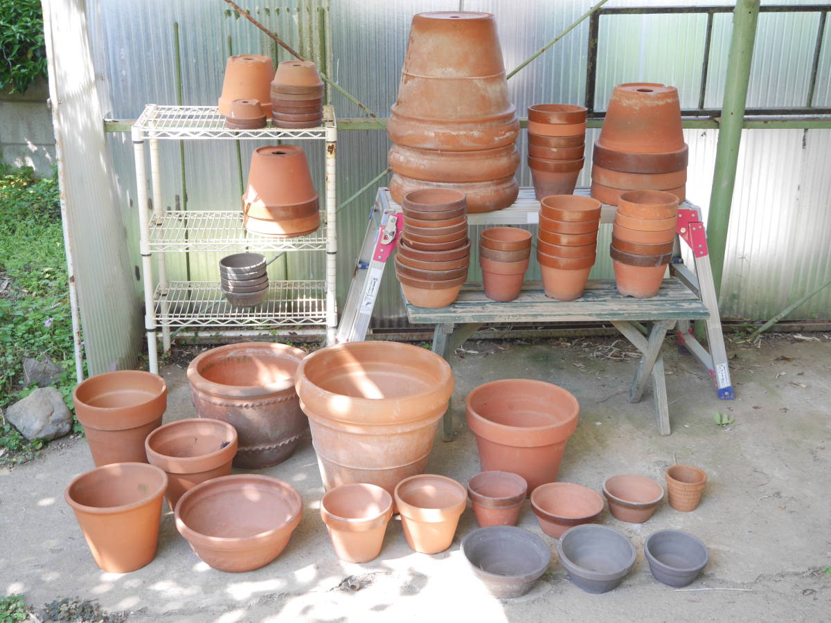素焼き鉢 テラコッタ鉢 植木鉢 園芸鉢 鉢 園芸 ガーデニング サイズ様々 まとめ売り 約80点 引取限定 鉢 売買されたオークション情報 Yahooの商品情報をアーカイブ公開 オークファン Aucfan Com