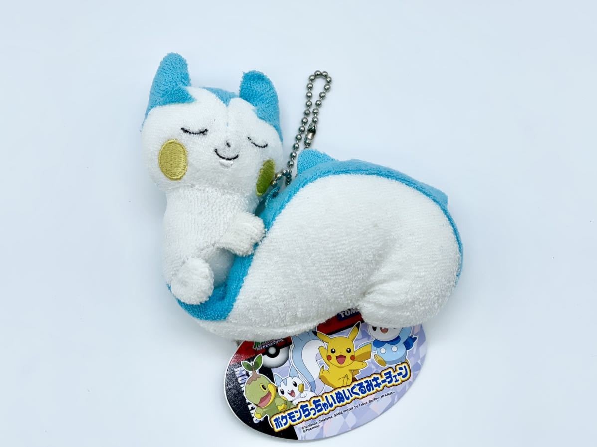 ポケモン ポケットモンスターtomy パチリス ぬいぐるみ 60 以上節約 ポケモン ポケットモンスターtomy パチリス ぬいぐるみ 60 以上節約