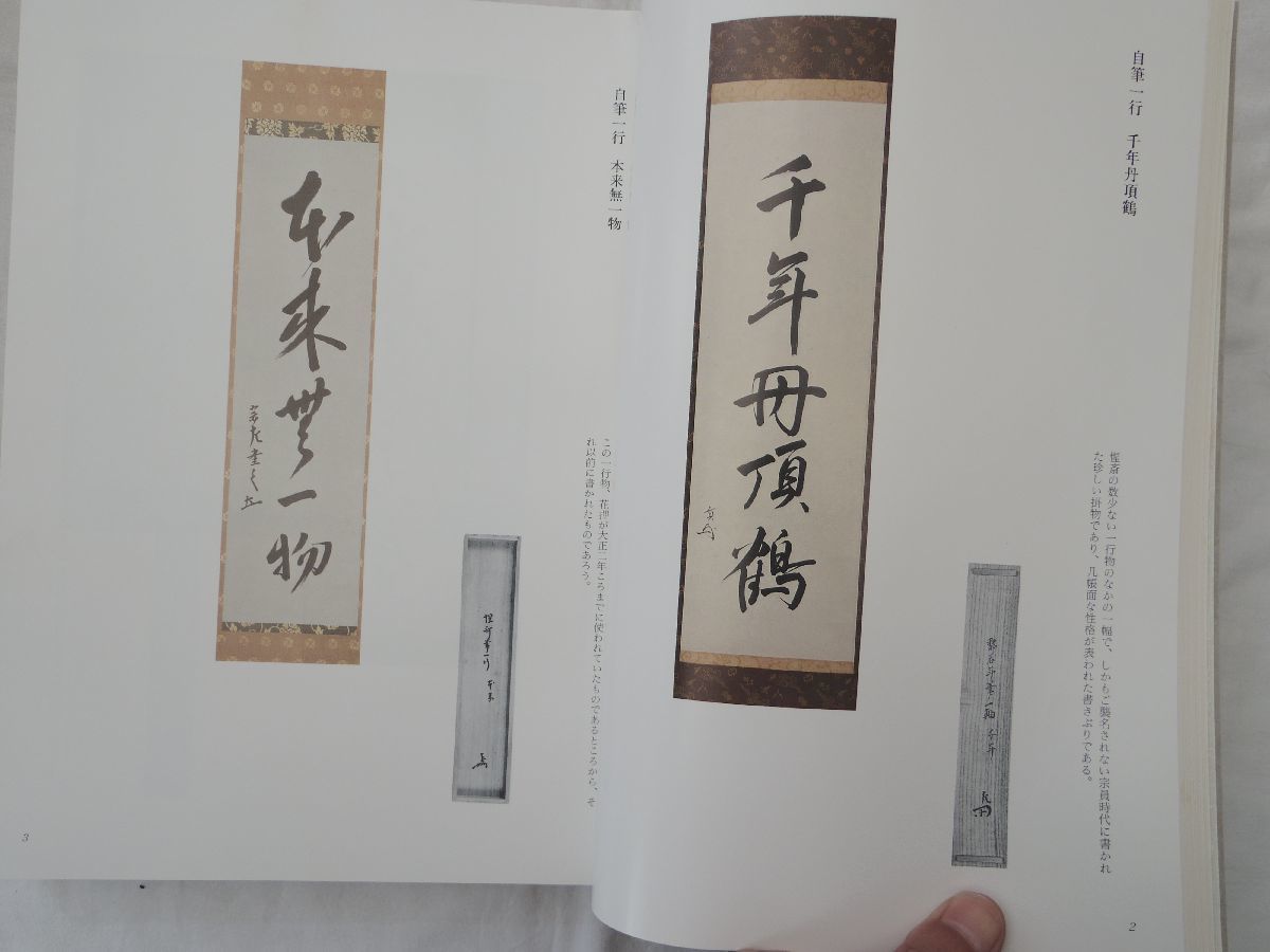 大得価，正規品】 0032136 看雲 惺斎宗匠好物集 千宗左・