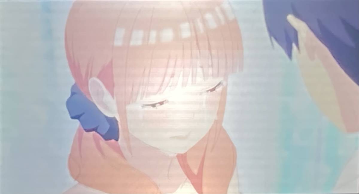 五等分の花嫁 入場者特典 生コマフィルム 中野二乃 花嫁ver 第6弾