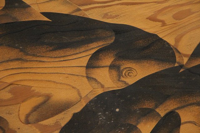 ☆在来☆雲杢彫独創工芸主宰 土居覚洞 雲杢彫 鯉図 木画 額装(東洋彫刻