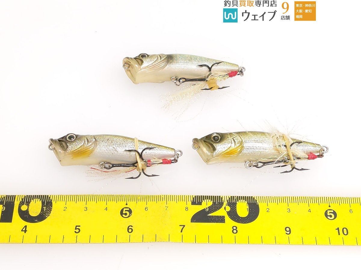 メガバス ポップX、ポップマックス、ドッグX・レイドジャパンブル