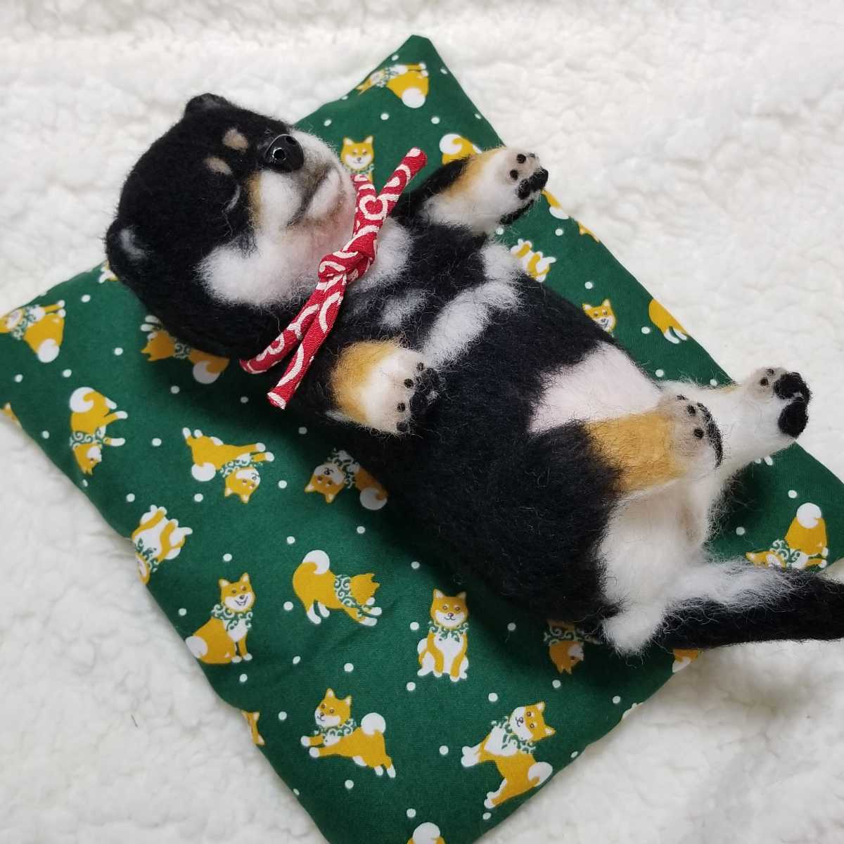 日本正規販売店 ☆羊毛フェルト 犬 豆柴 黒柴子犬 お昼寝 へそ