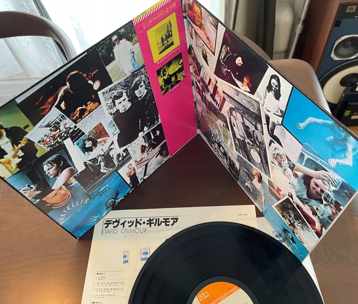 FLOYDデヴィッド of Voice ⁄ and Guitar 構想15年・・・The PINK