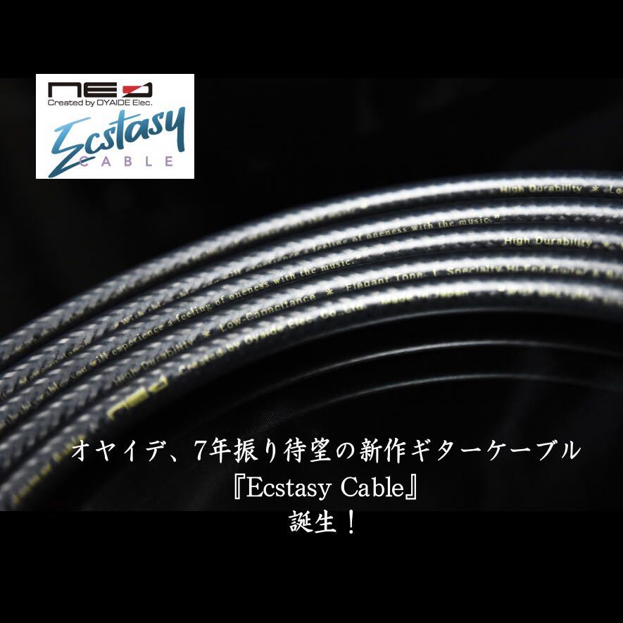 新製品】Oyaide Ecstasy Cable 「L/S2m」［新品］ Ecstasy Cable