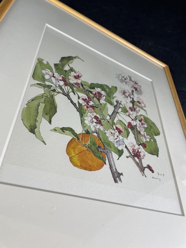 立16/ 絵画 複製画 RKOISO 小磯良平 あんず アート 美術 芸術
