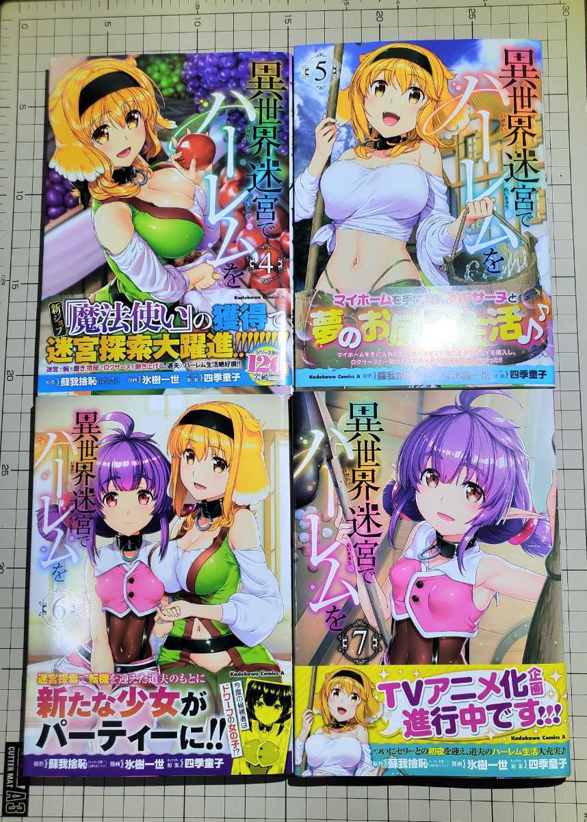 異世界迷宮 ハーレムを 4 7巻セット 青年 売買されたオークション情報 Yahooの商品情報をアーカイブ公開 オークファン Aucfan Com