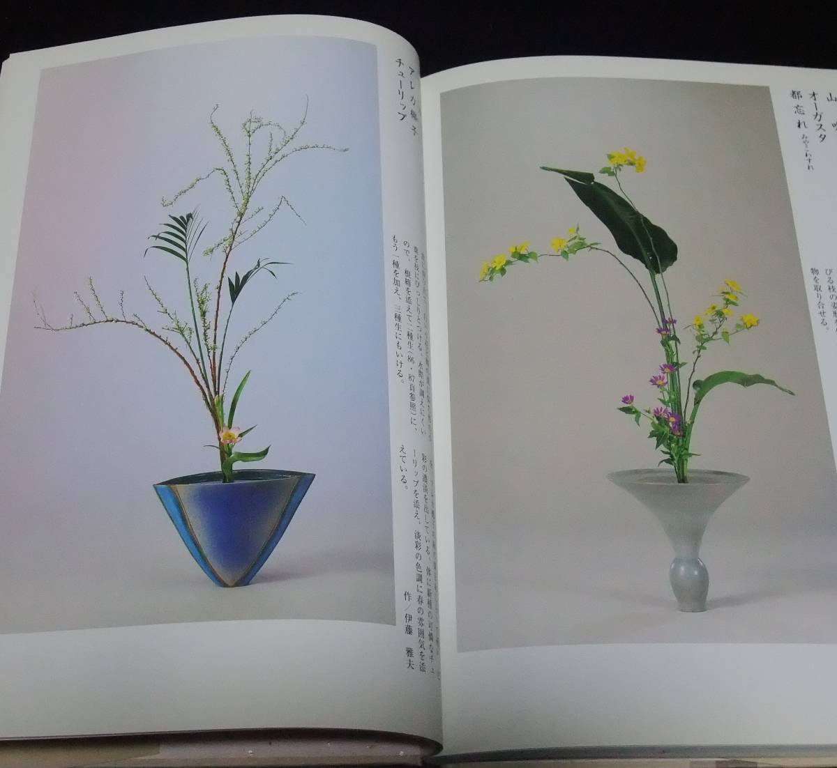 風姿抄 : 池坊生花正風体作品集 池坊 風姿抄: 生花正風体作品集 - 池坊