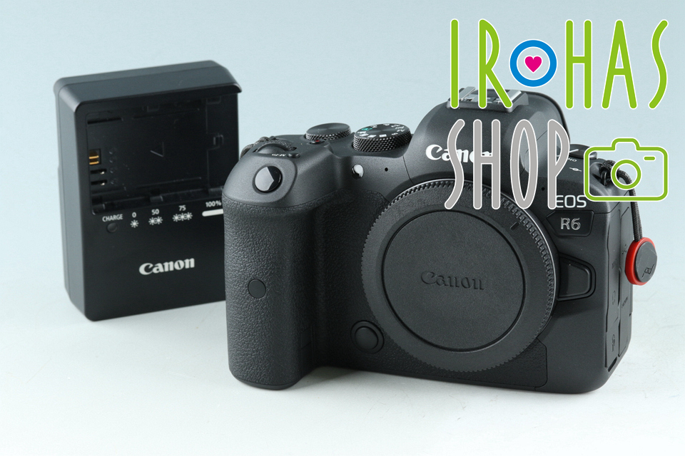Canon EOS R6 Mirrorless Digital Camera #42117E1