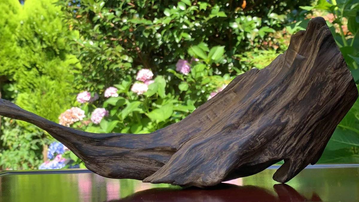 重量370g 横長29cm 高さ11cm 沈香伽羅 極上時代香木 姿物沈香伽羅 重量370g 横長29cm 高さ11cm 沈香伽羅 極上時代香木 姿物沈香伽羅
