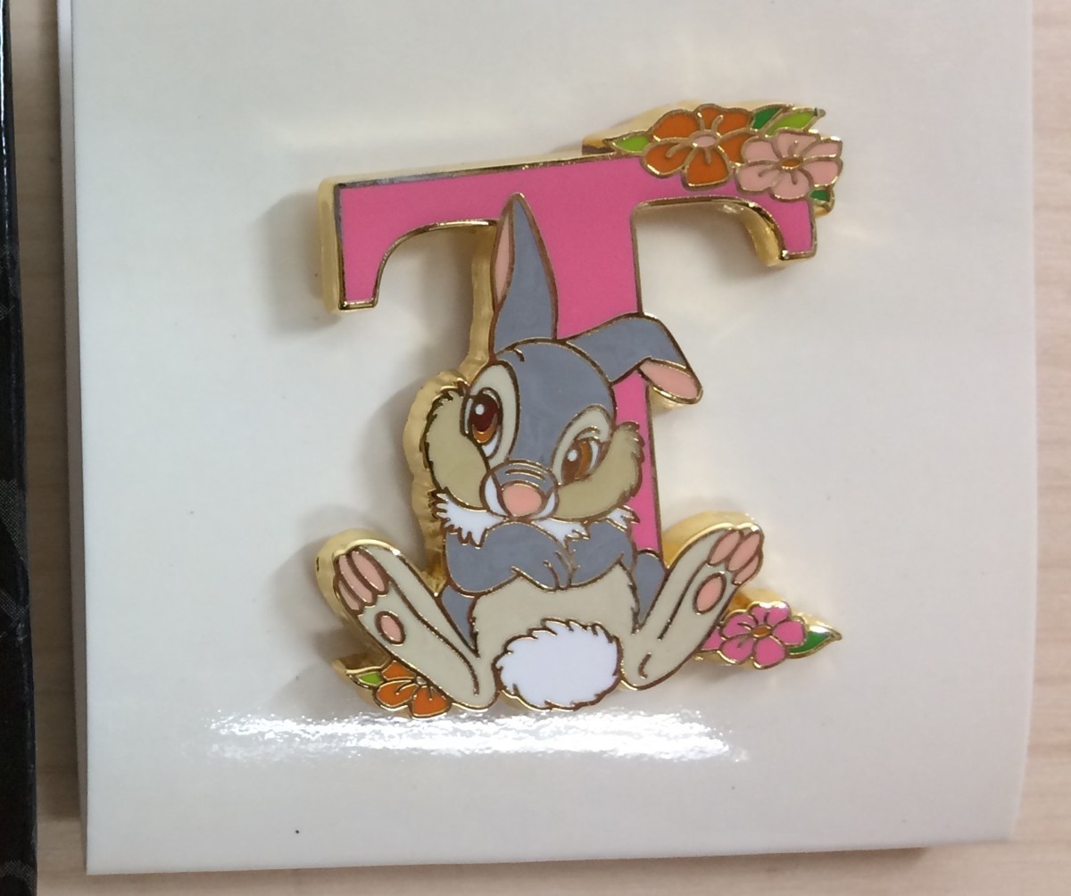 ディズニー ディズニーストア イニシャルピン ピンバッジ 箱付き