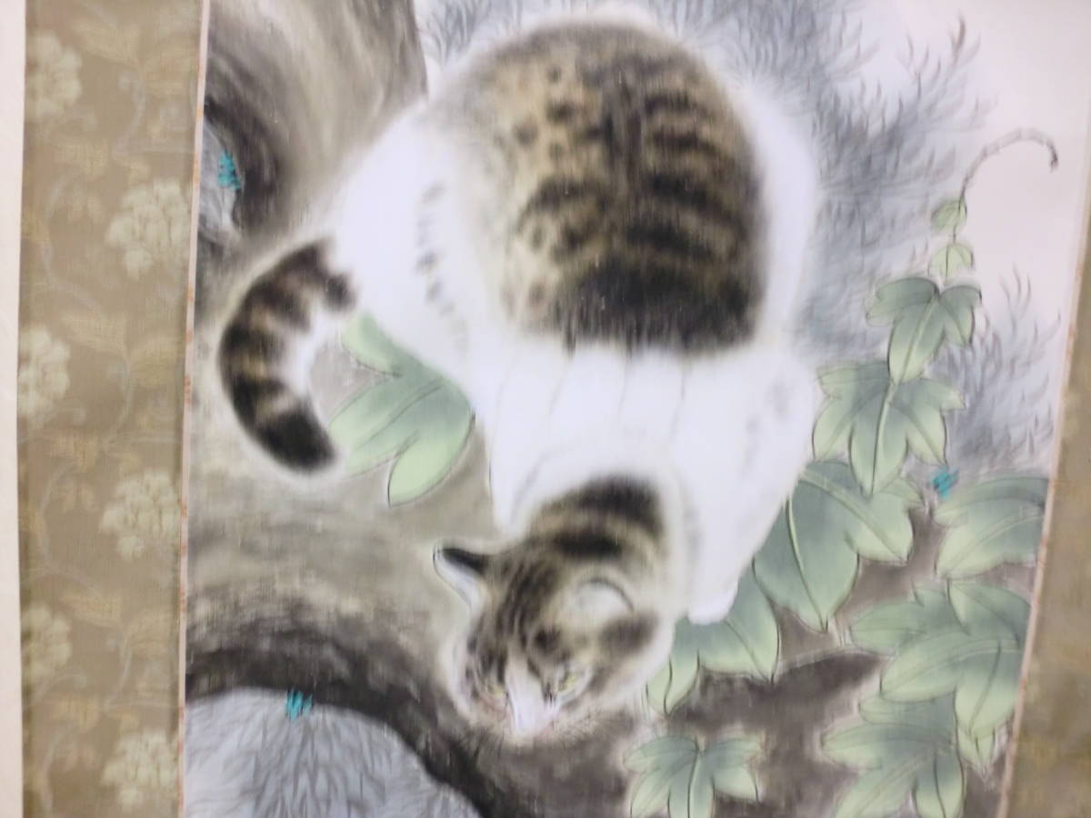 真作 掛軸 中国画 子貞 トテモ可愛くて洒落た猫之圖 肉筆 極美品 紙箱