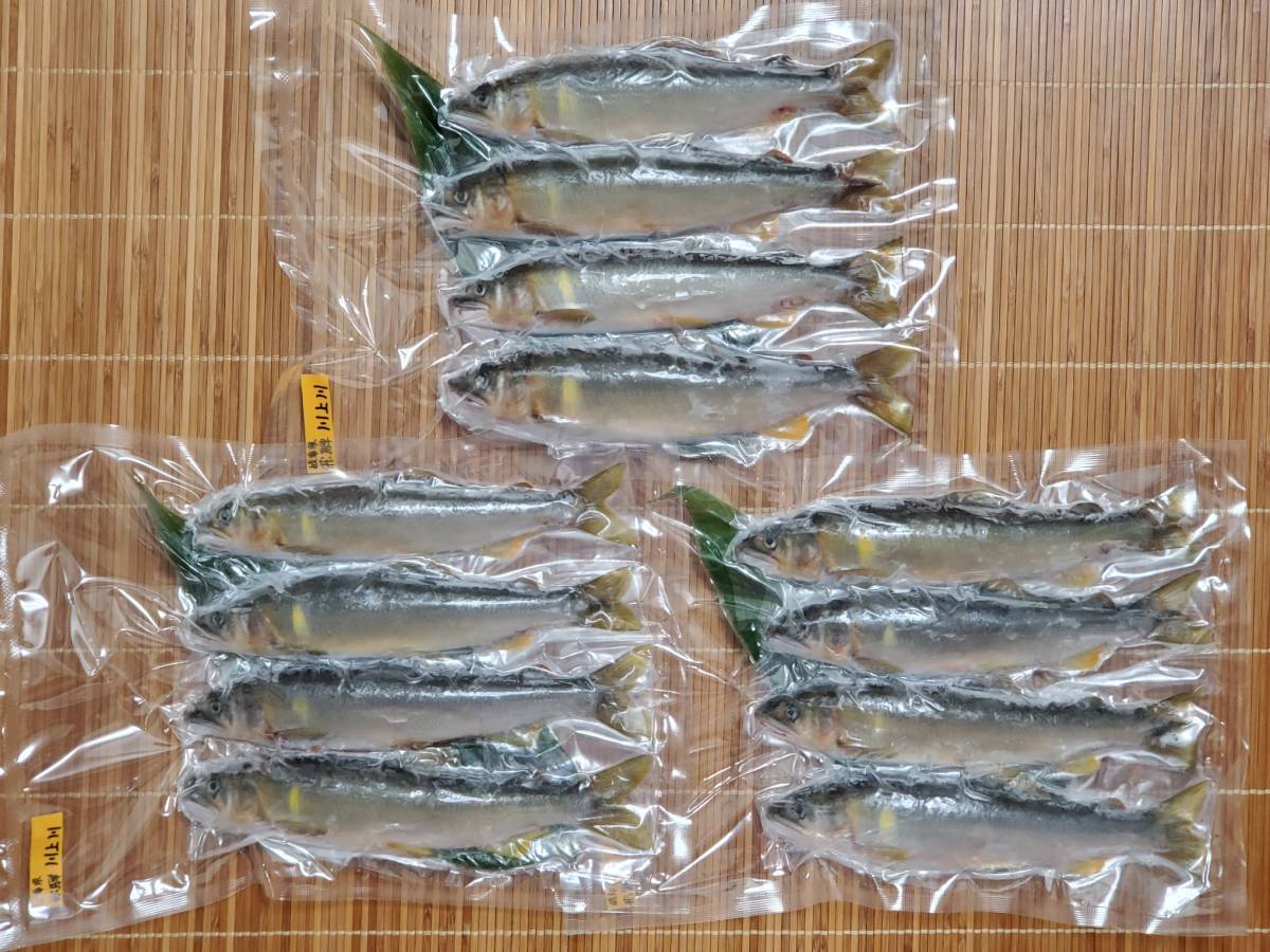 消費税無し 新品dvd車で行く日本の名所6弾ける夏 北へ南へ 富山県おわら風の盆 奥飛騨温泉郷 上高地 岡山県 鳥取県大山 四万十川 檮原 高知県 Www Uniiweb Com Br