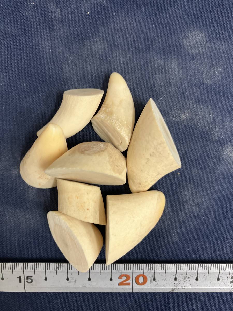 マッコウクジラ 抹香鯨歯端材88g漁具彫刻根付端材 マッコウクジラ