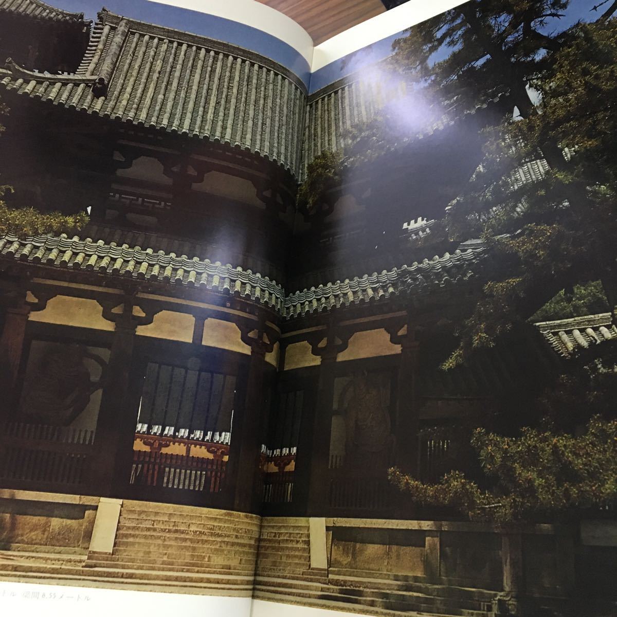 古寺巡礼 国際版 &frasl; | 土門拳 全5巻セット 古本、中古本、古 - 全5巻揃 公式通販 全5巻揃(土門拳) ノストスブックス 土門拳著 極美品古寺巡礼 全5集揃(土門拳) 全5冊揃(寺山