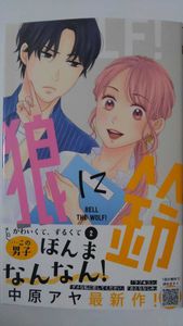 ラブコン Lovely Complex 直筆サイン入り色紙 中原アヤ 作者 早水リサ 主人公 小泉リサ役 声優 イラスト 漫画 アニメ Www Phoneshopkenya Co Ke