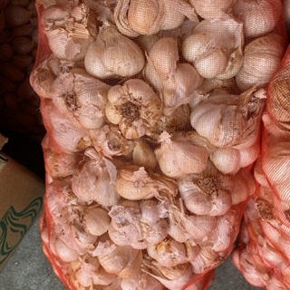 青森県にんにく10Kg 新物 公式通販 にんにく 青森県 ML 残り3個 L