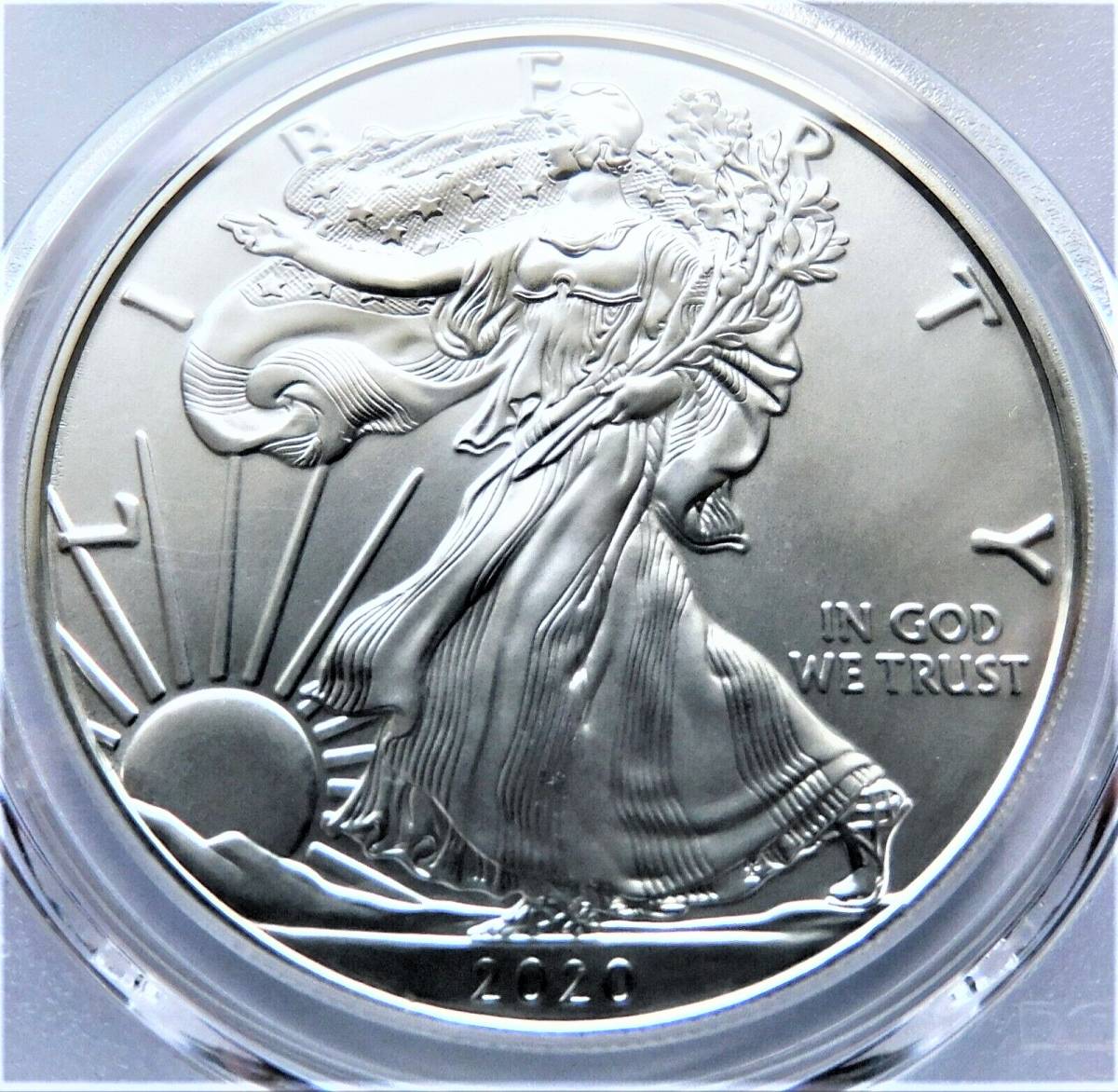最高鑑定 シルバーイーグル 2018-W 1$ .999銀貨 NGC MS70 Early