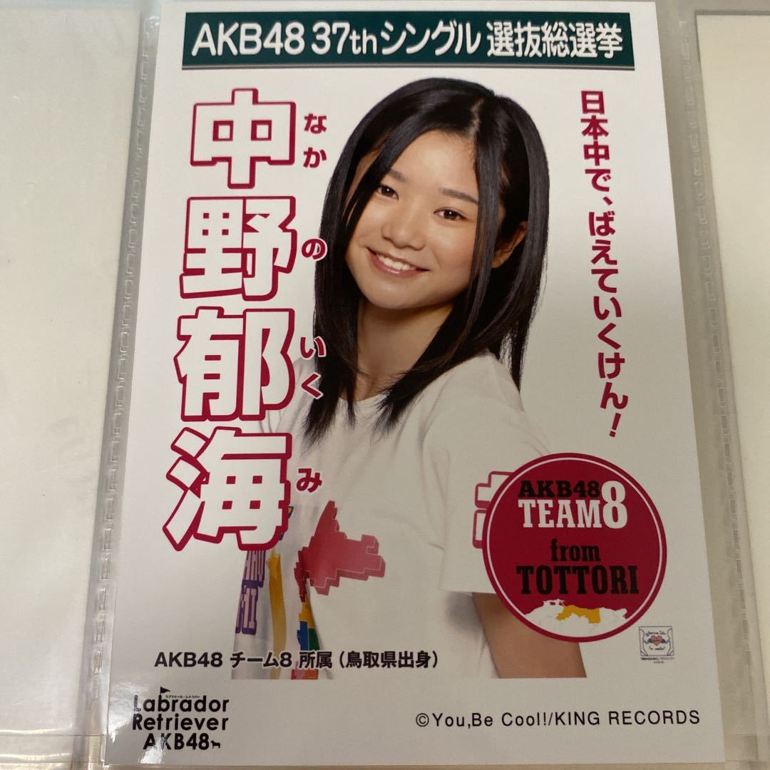 AKB48 中野郁海 ラブラドールレトリバー 劇場盤 生写真 選挙ポスター 