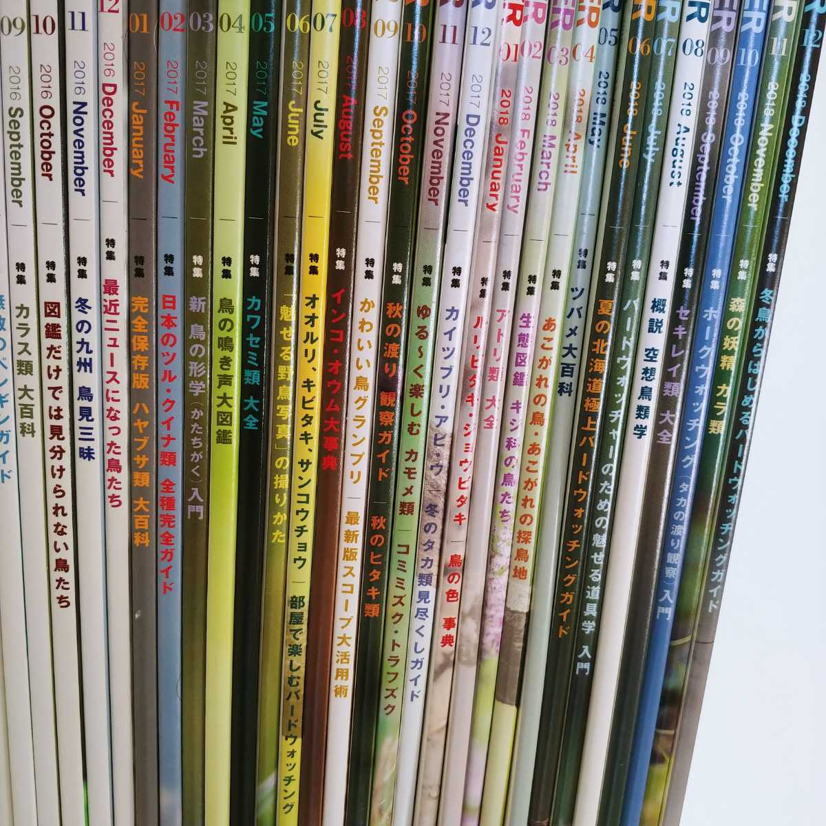 BIRDER 2015年12月号〜2020年12月号 計61冊セット　バーダー　文一総合出版　雑誌　まとめ売り BIRDER | 12月号 文一 計61冊セット 雑誌&frasl;電子書籍&frasl;定期購読の