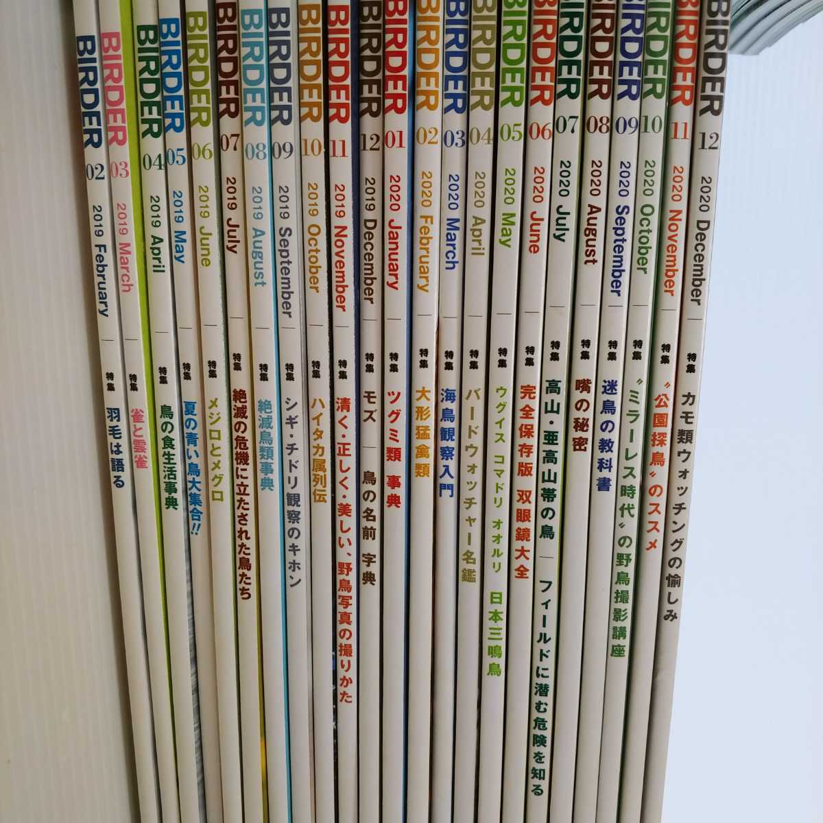 BIRDER 2015年12月号〜2020年12月号 計61冊セット　バーダー　文一総合出版　雑誌　まとめ売り BIRDER | 12月号 文一 計61冊セット 雑誌&frasl;電子書籍&frasl;定期購読の