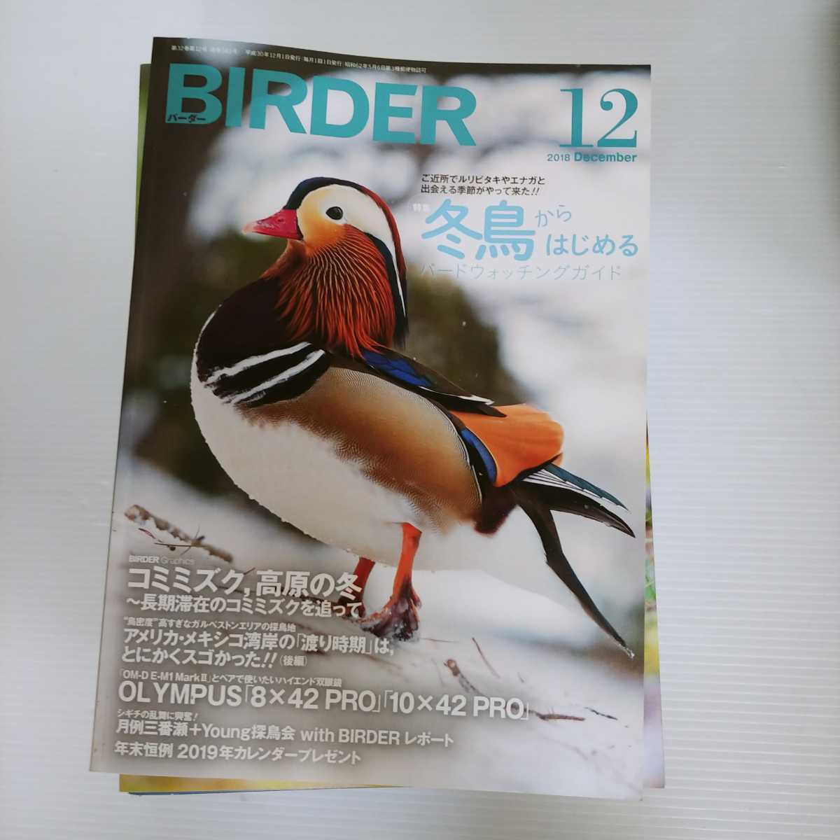 BIRDER 2015年12月号〜2020年12月号 計61冊セット　バーダー　文一総合出版　雑誌　まとめ売り BIRDER | 12月号 文一 計61冊セット 雑誌&frasl;電子書籍&frasl;定期購読の