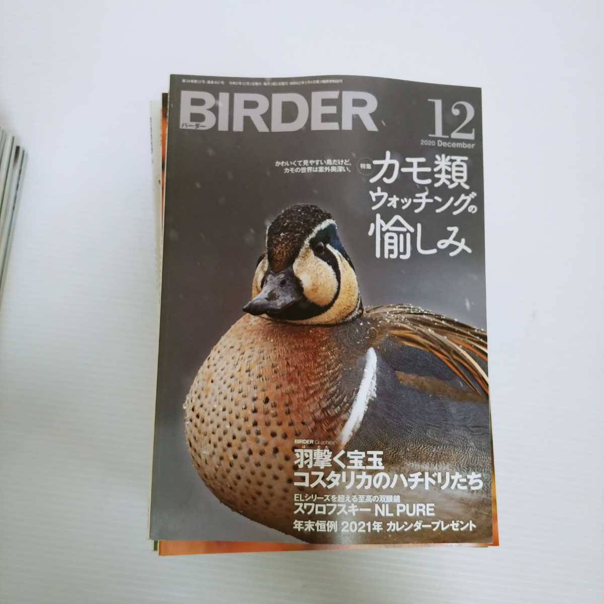 BIRDER 2015年12月号〜2020年12月号 計61冊セット　バーダー　文一総合出版　雑誌　まとめ売り BIRDER | 12月号 文一 計61冊セット 雑誌&frasl;電子書籍&frasl;定期購読の