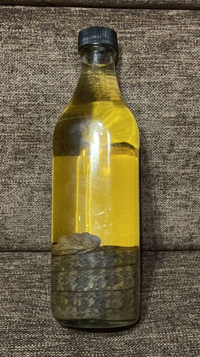 龍泉ハブ入りハブ酒(40度・750ml)とハブエキス（40度・720ml・仕