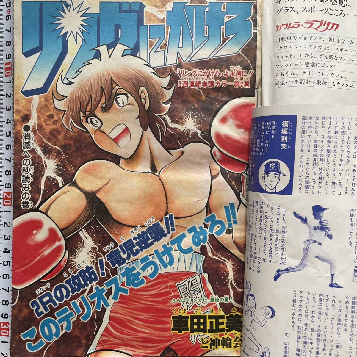 週刊少年ジャンプ 1981年8月31日号 Dr.スランプアラレちゃん キン肉 