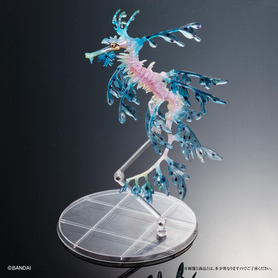 最安値，安い バンダイ プレバン限定 いきもの大図鑑プレミアム リーフィーシードラゴン ブルー(生き物)｜売買されたオークション情報、yahooの商品情報をアーカイブ公開 - オークファン 生き物