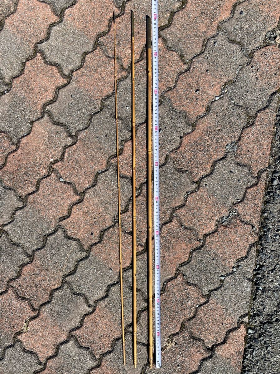 和竿 竹竿 庄内竿 継竿 手元1.2cm×長さ295cm(海水)｜売買された