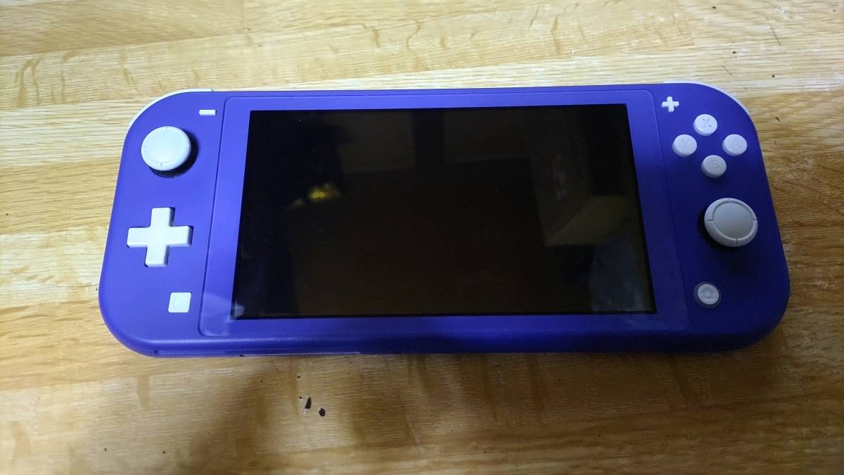 【動作未確認】任天堂Switchライト　現状品 Nintendo Switch Light ニンテンドー スイッチライト ブルー 動作