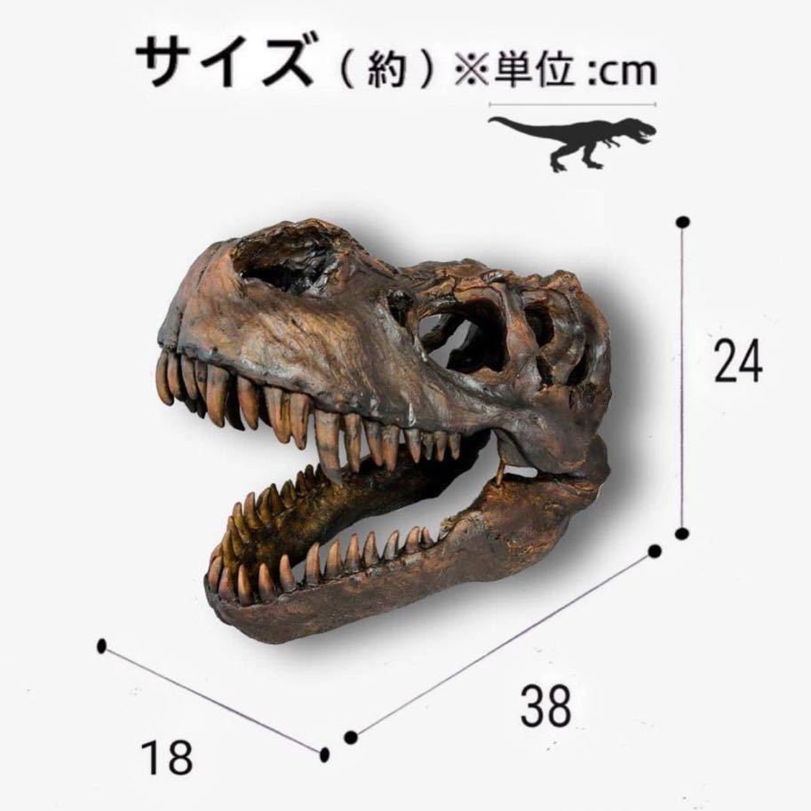 2個セット】 ティラノサウルス トリケラトプス 頭骨 化石 レプリカ