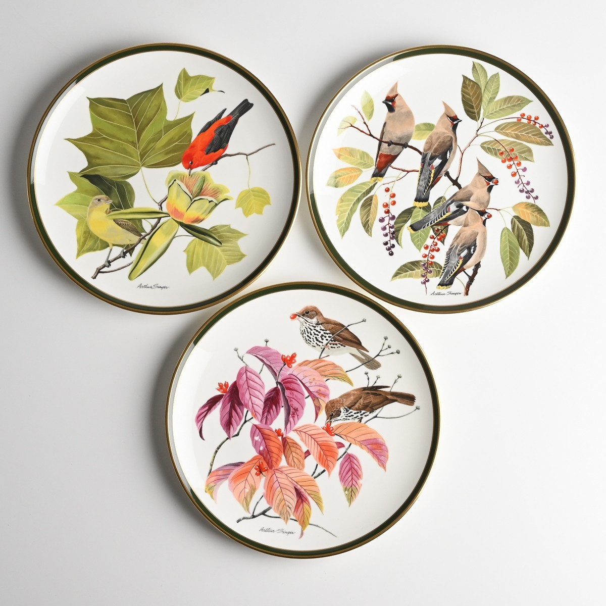 Franklin Porcelain Songbirds of the World 計12客 Arthur Singer 絵