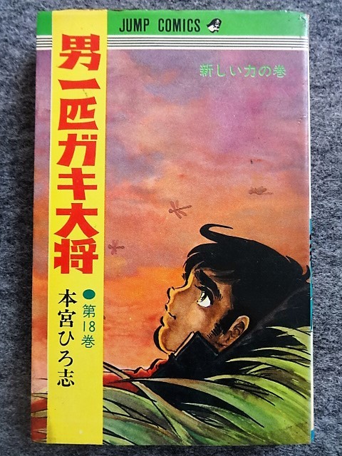 男一匹ガキ大将 全20巻セット 男一匹ガキ大将 全巻セット