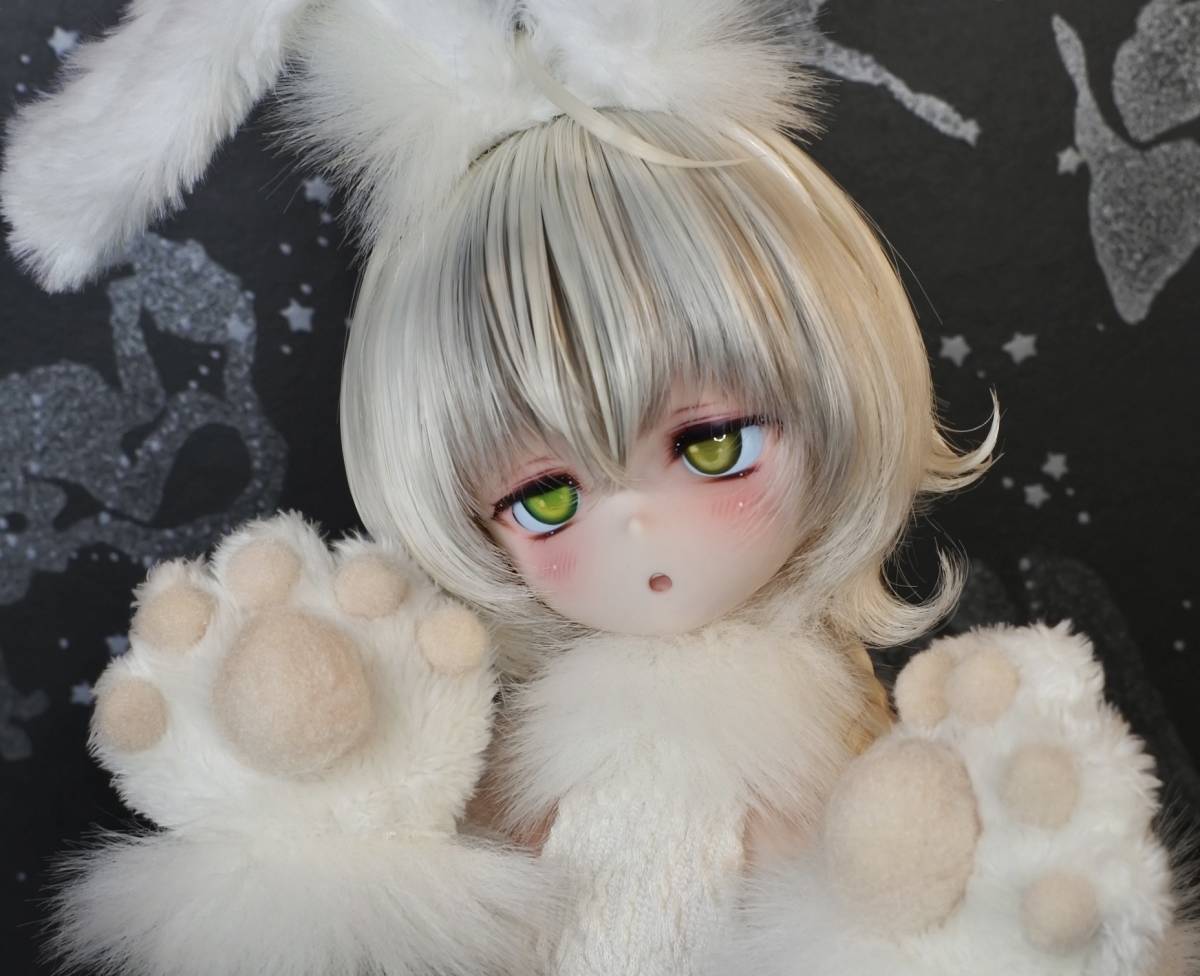 パ*ェ様 ディーラー様製 DDH16カスタムヘッド +衣装+ウィッグ