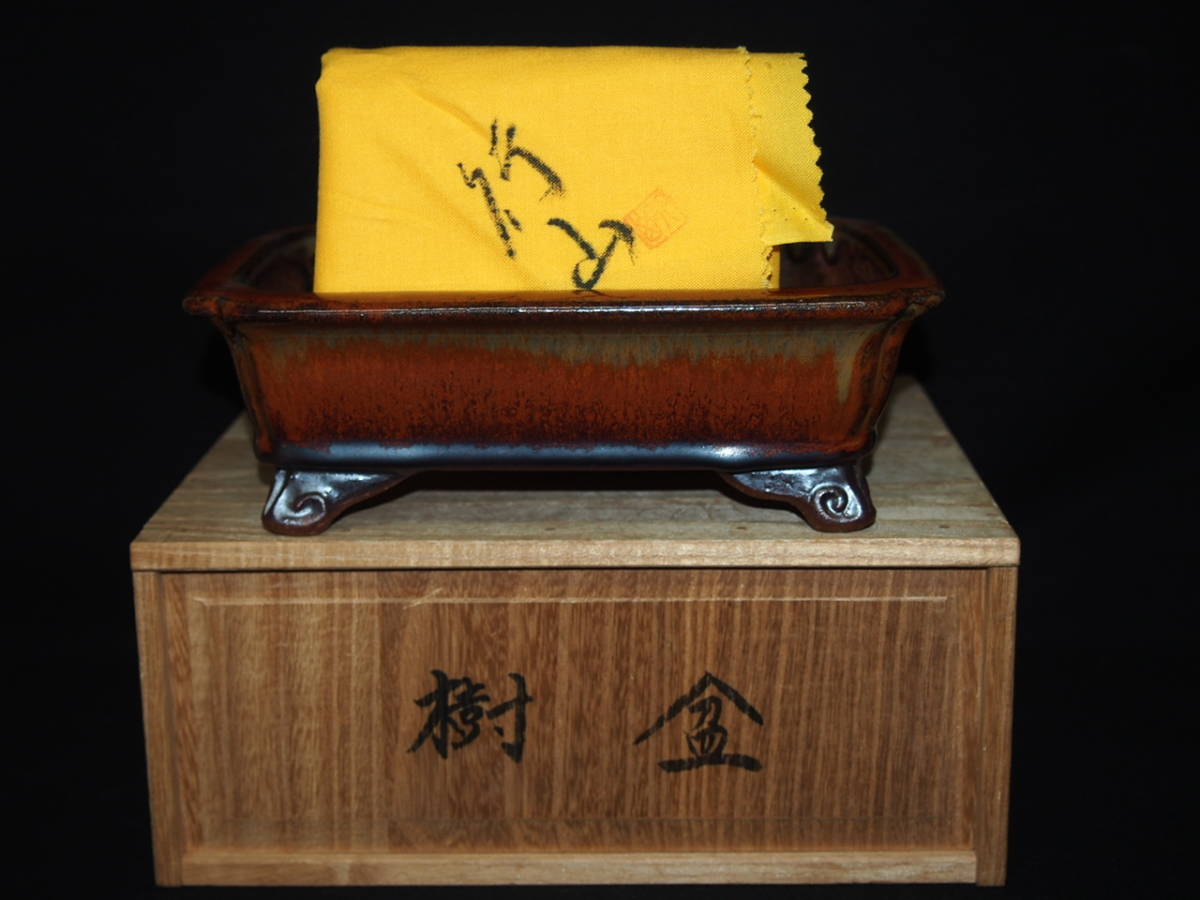 盆器 鉢 真柏 盆栽 植木 松柏 皐月 楓 公式通販 盆栽鉢 | 松泉山秋