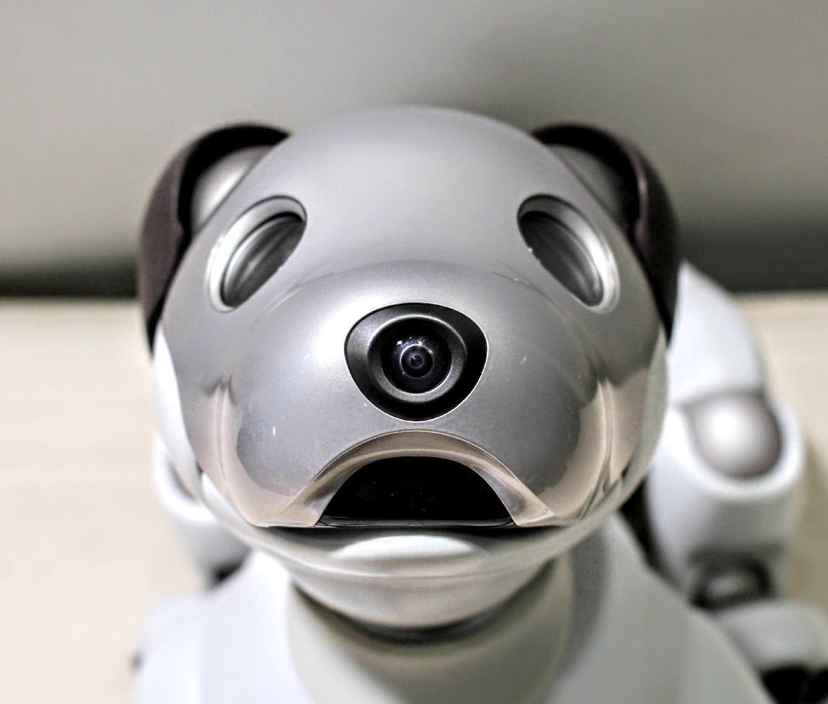 動作良好☆お手もお座りも！】新型モデル SONY aibo(アイボ) ERS-1000 