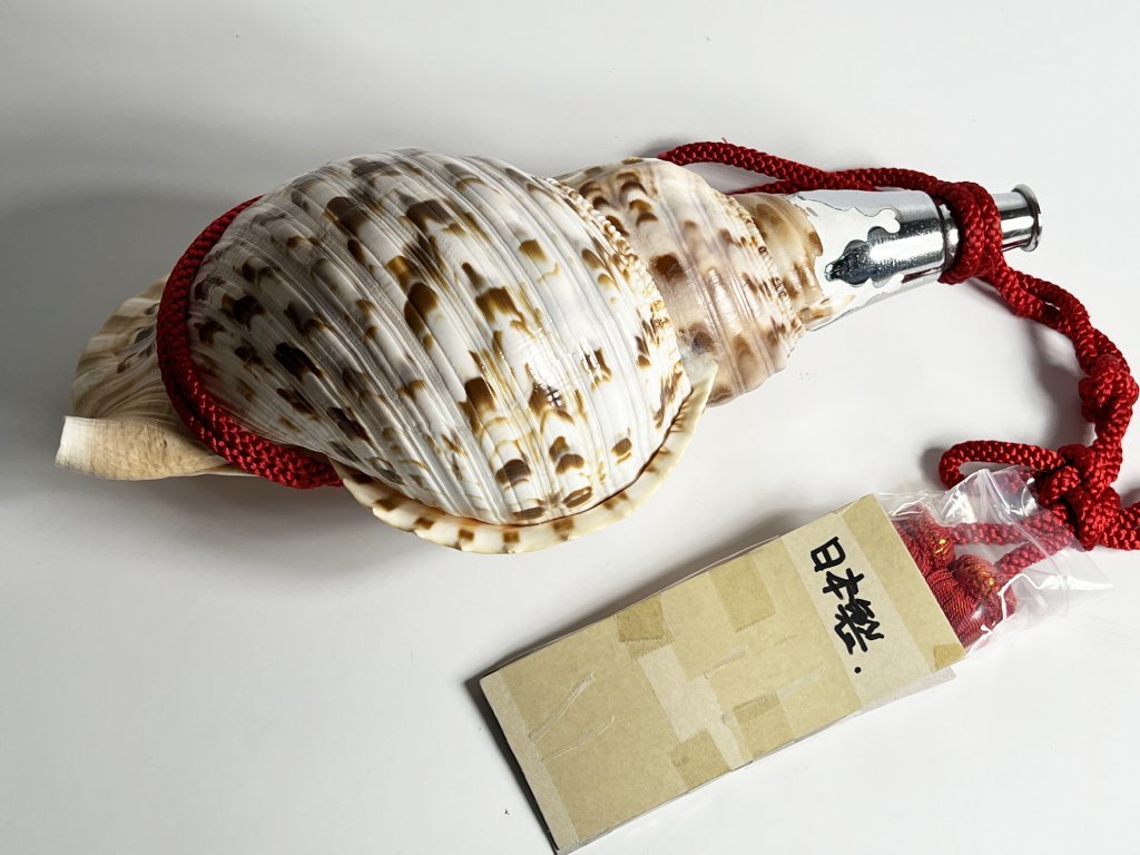 法螺貝 ⁄ Yahoo!オークション ホラ貝 和 長さ約40.5cm PP412. 三島屋楽器