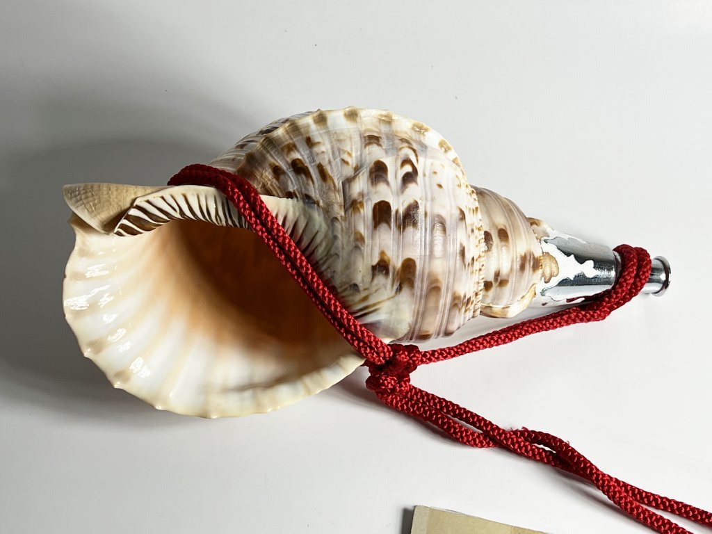 修験道法螺貝 山伏 密教 魔除け 熊よけ❣️ほら貝 ホラガ 41242□法螺貝