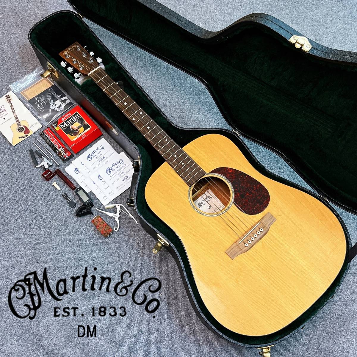 Martin USA マーチン マーティン DM アコースティックギター 保証書 